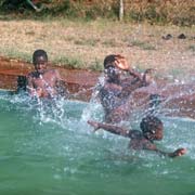 Boys in the pool