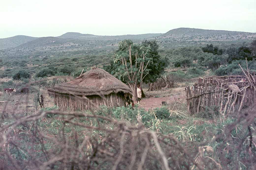 Homestead near Balegane