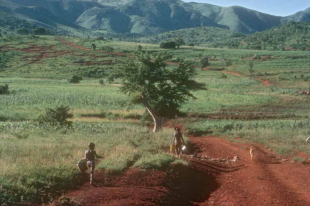 Farm at Mvembili