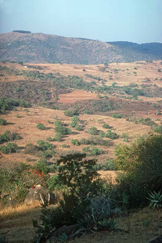 Mhlatane valley