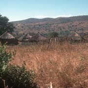 Homestead near Herefords