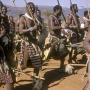 Swazi regiments