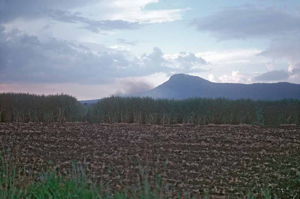 Mhlume sugar fields