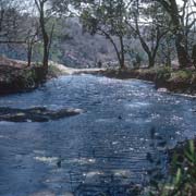 Near Mpopomeni Falls