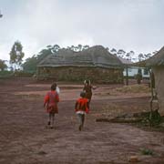 Homestead, Mambane