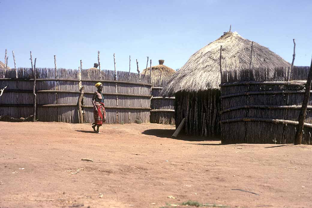 Nkambeni homestead