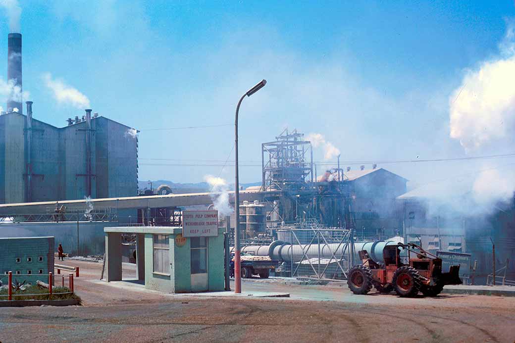 Usutu Pulp Mill