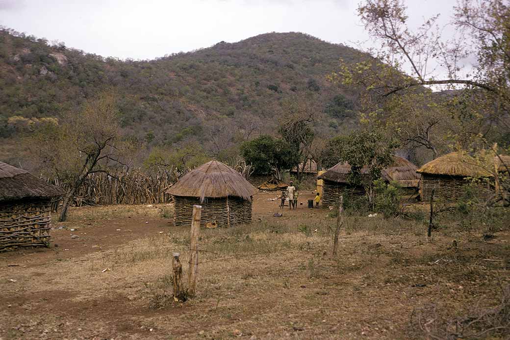 Small homestead