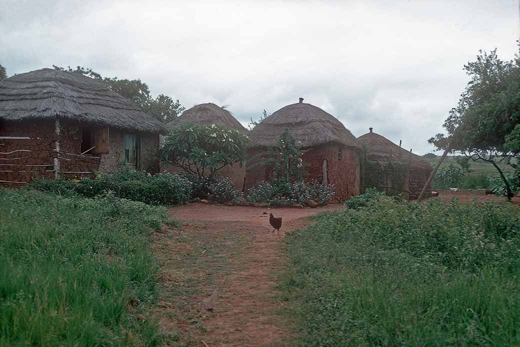 Swazi homestead