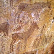 Bushmen paintings