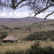 Near Nyakeni