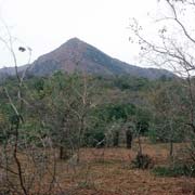 Lowveld landscape