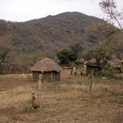 Small homestead