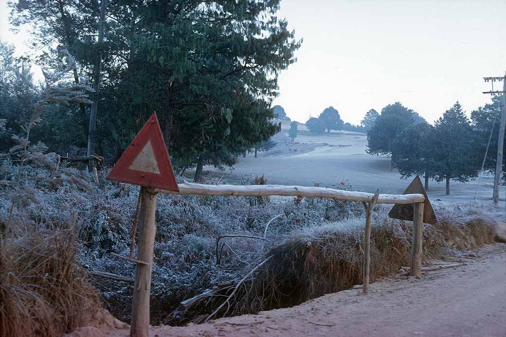 Frost, Golf Course