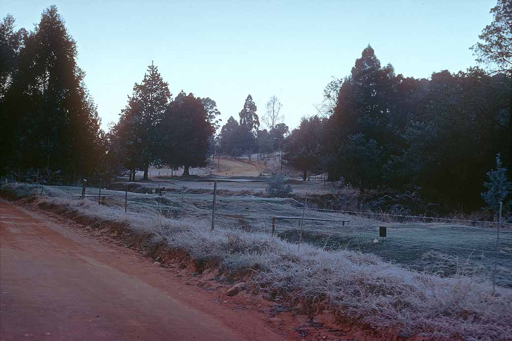 Past Golf Course