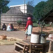 Swazi Market