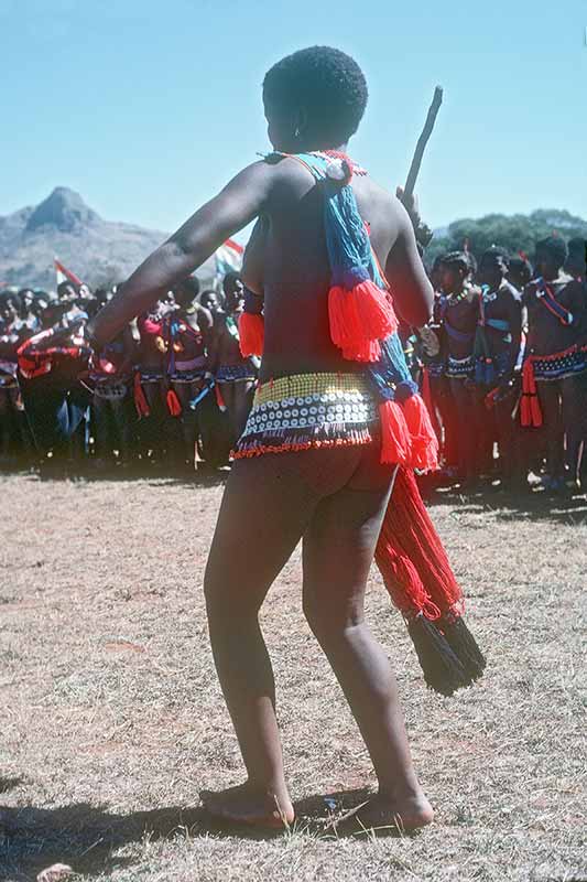 Solo Dancer Umcwasho Ceremony Swaziland Ozoutback