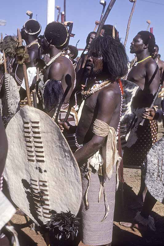 Swazi warriors