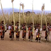 Princesses and reeds