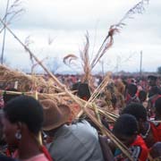 Throwing the reed bundles