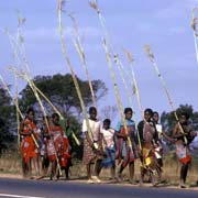 Bringing reed bundles