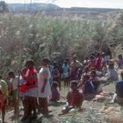 Making reed bundles