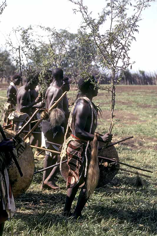 Marching into sibaya