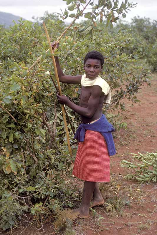 Boy with emacembe