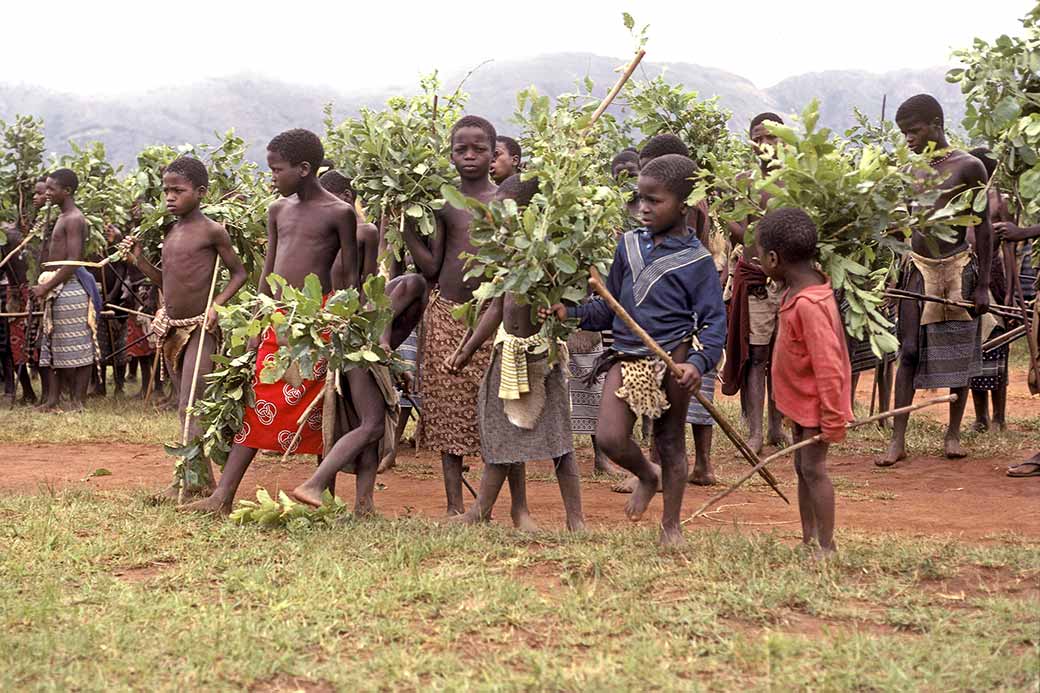 Boys with leaves