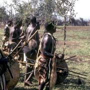 Marching into sibaya