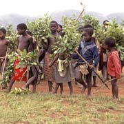 Boys with leaves