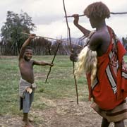 Swazi stick fight