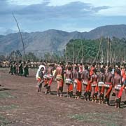 Dancing in sibaya