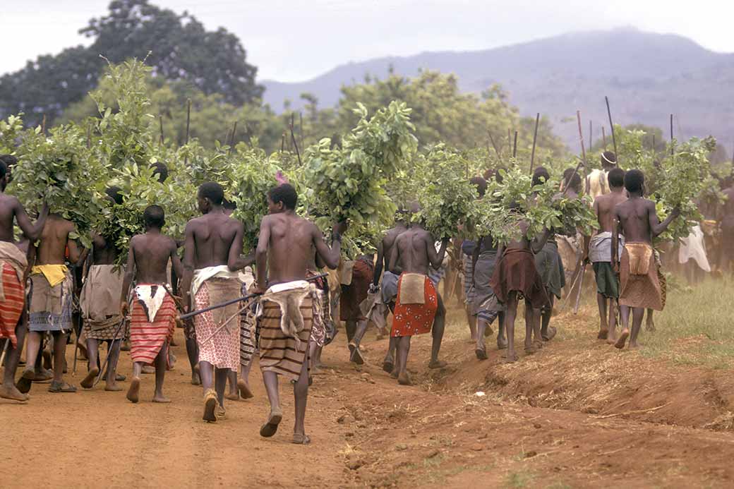 Marching with leaves