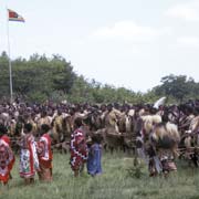 Dancing warriors