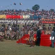 Regiments march past