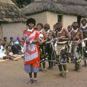 Marching tangoma