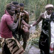 Carrying sangoma