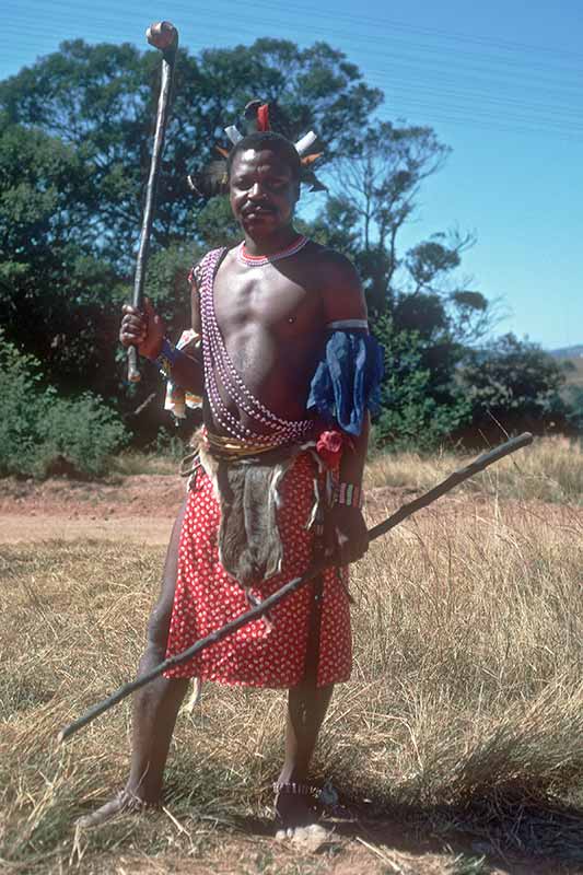 Swazi warrior
