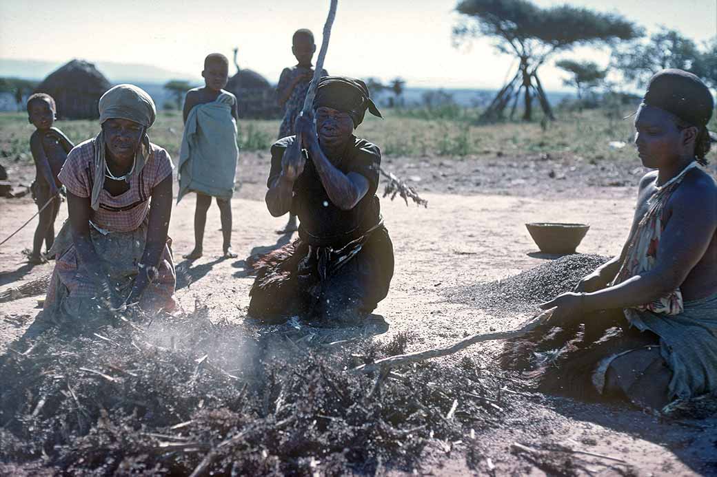 Threshing plants