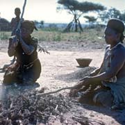 Threshing plants