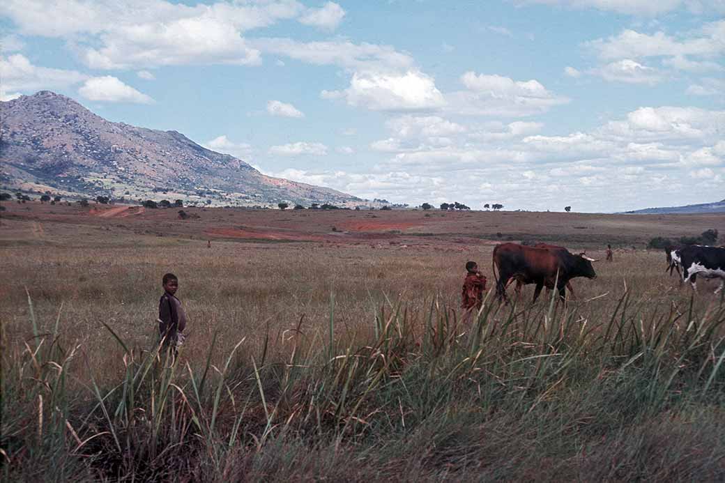 Valley near Lozitha