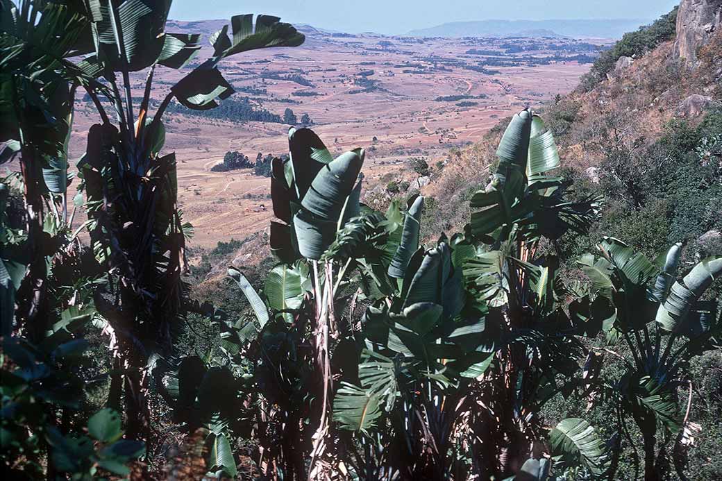 View near Zombodze