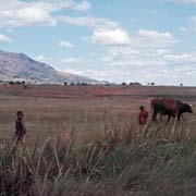 Valley near Lozitha