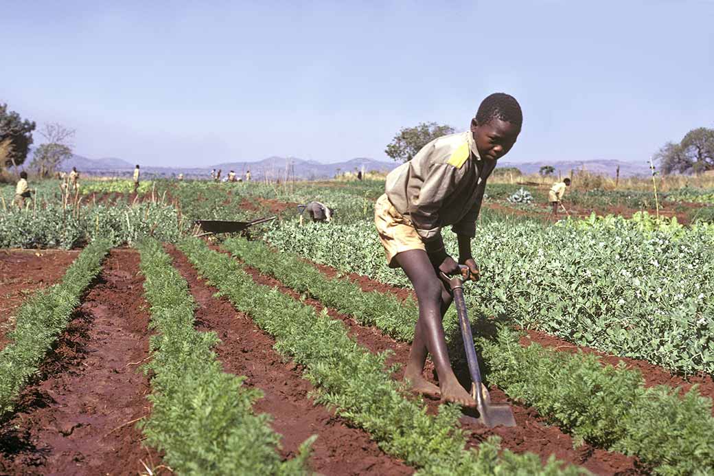 Learning to farm