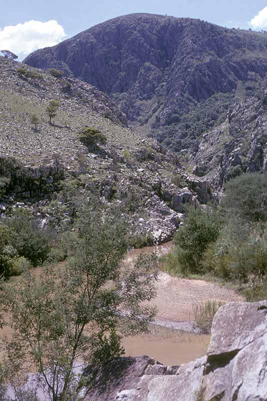 Mahamba Gorge