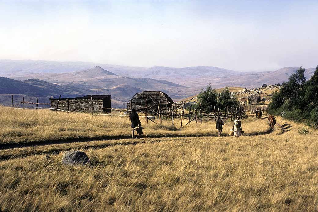 Homestead near Ebenezer