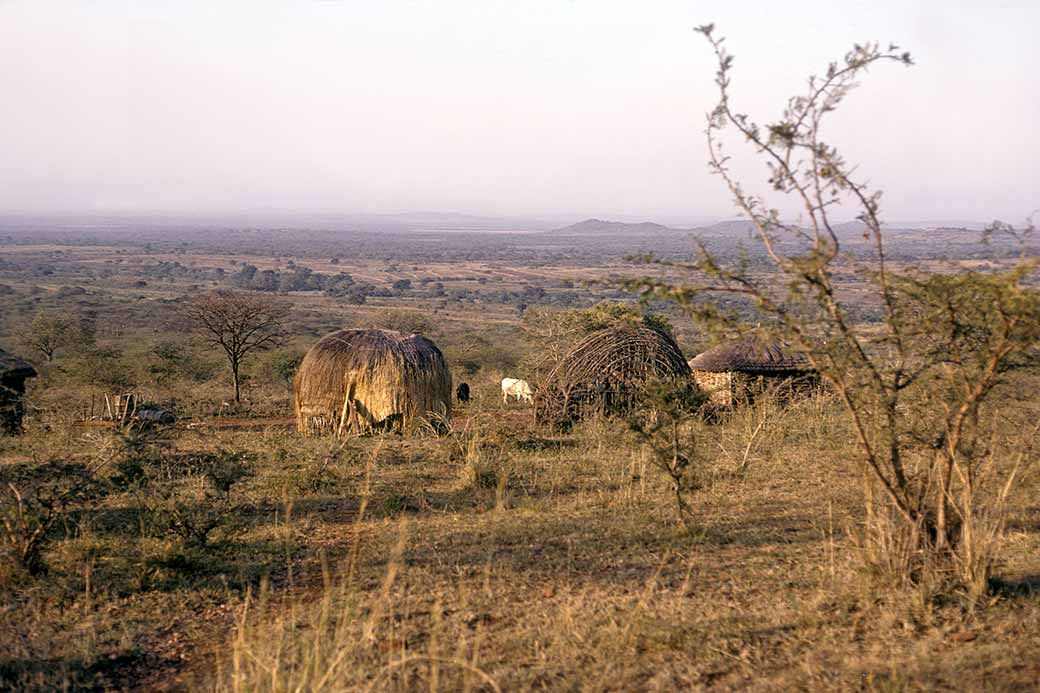 Lowveld near Hluti