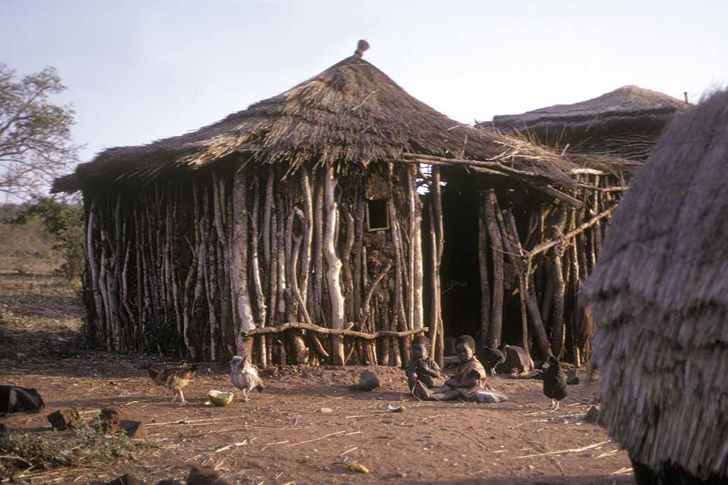 Swazi homestead