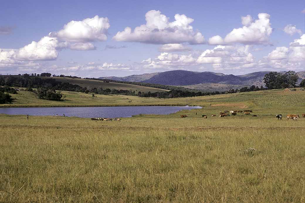 Lake at Mhlosheni